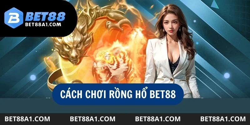 cach-choi-rong-ho-bet88